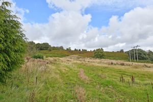 Manchester Road Hollow Meadows
